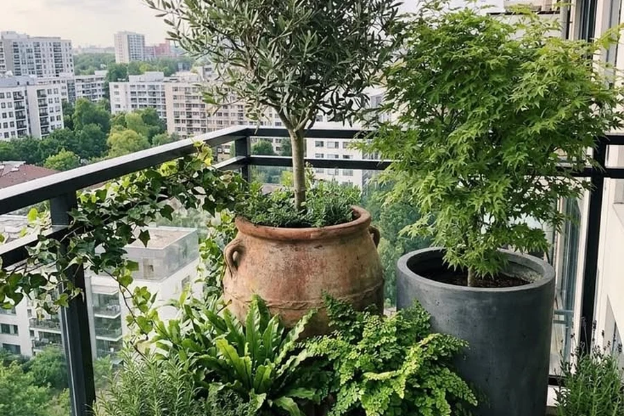 Jardinería urbana en México